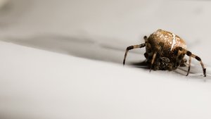 绩效管理